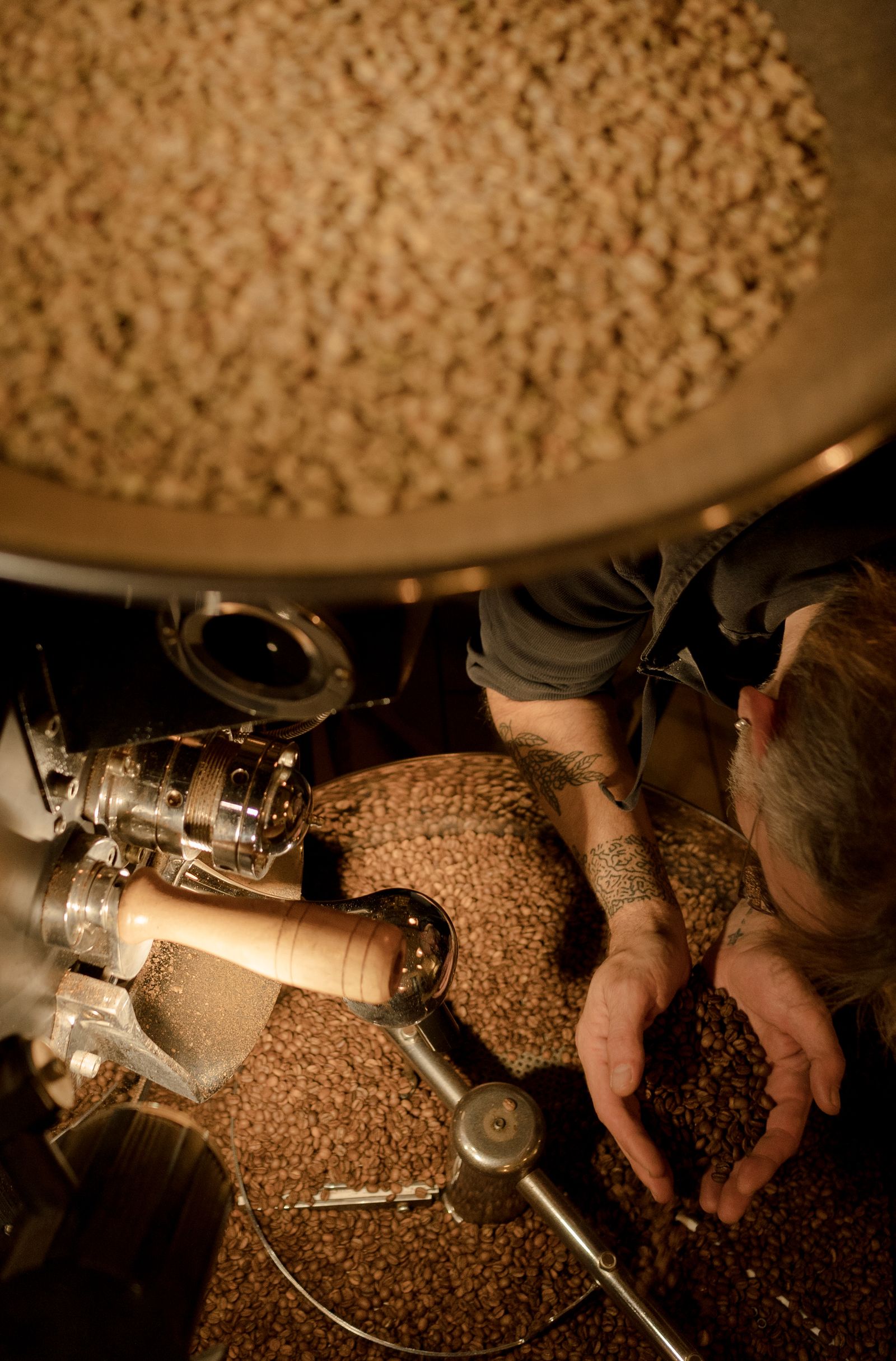 Roaster inspecting beans inside a production roaster