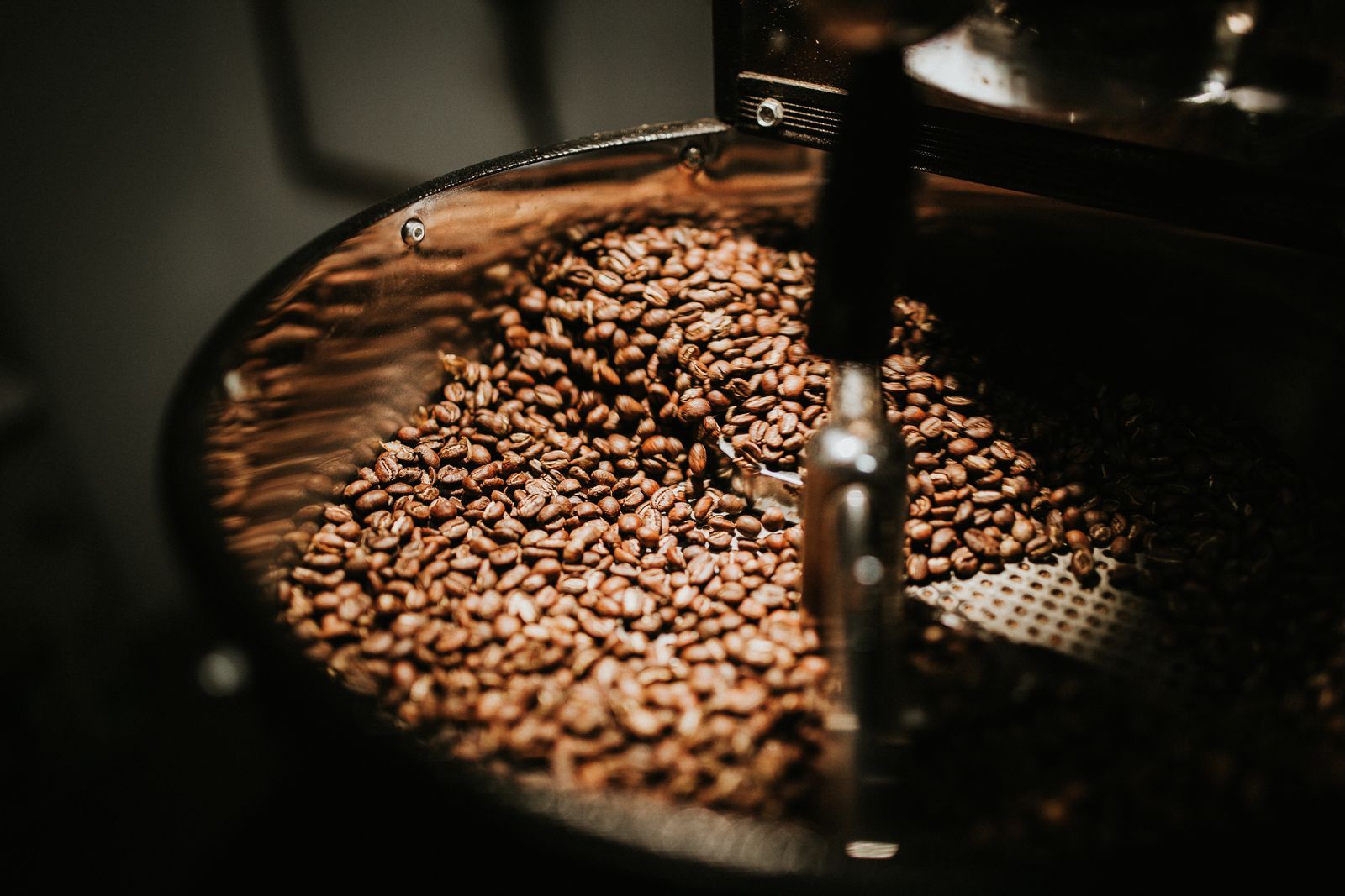Fresh coffee beans being agitated during roasting