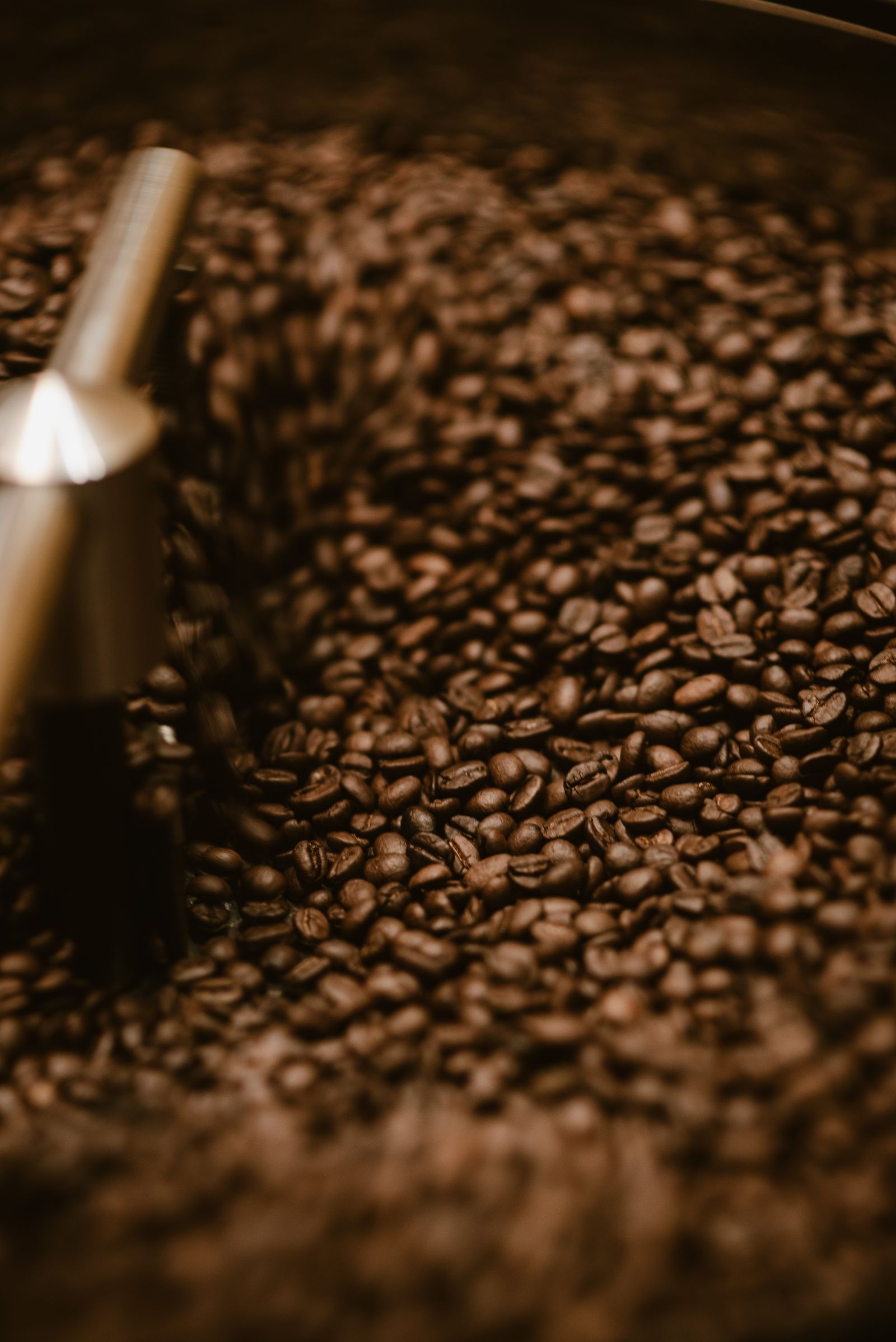 Roasted coffee beans cooling in a production machine